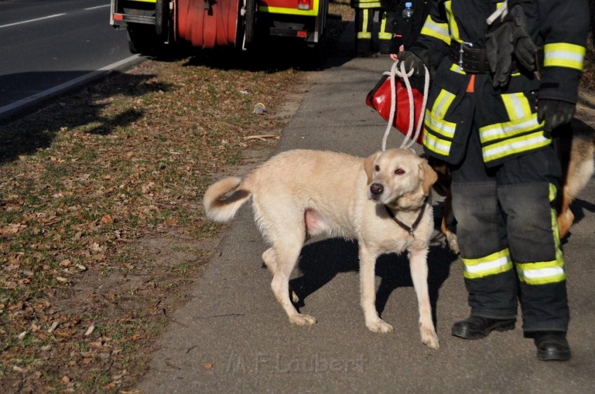 Hund und Frauchen im Eis eingebrochen Koeln Dellbrueck Hoehenfelder See P10.jpg